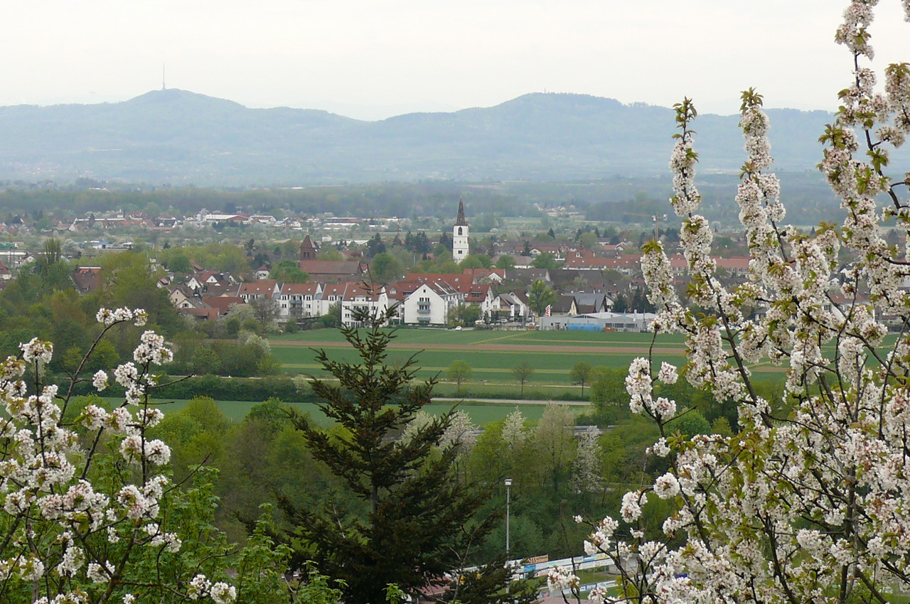 Hotel Gasthof Grüner Baum Biberach