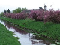  (Bildnachweis: Bürgermeisteramt Sinzheim)