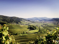 Oberkirch (Bildnachweis: � Renchtal Tourismus GmbH)