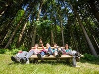 Schwarzwälder Wandersinfonie Himmelssteig Bank Wald  (Bildnachweis: © KTG Foto: David Lohmüller)