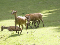  (Bildnachweis: Stadt Bad S�ckingen, Tourismus- und Kulturamt)