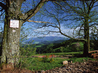  (Bildnachweis: Tourismus GmbH & Co.KG ZweiTälerLand )