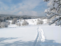  (Bildnachweis: isocont GmbH)