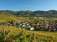 (Bildnachweis: Copyright und Fotograf: Th. Coch) (Bildnachweis: Copyright und Fotograf: Th. Coch)