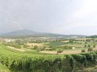  (Bildnachweis: Mit freundlicher Genehmigung der Stadt M�llheim)