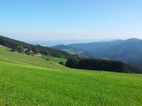 Mit freundlicher Genehmigung der Stadt Horben (Bildnachweis: Mit freundlicher Genehmigung der Stadt Horben) Mit freundlicher Genehmigung der Stadt Horben (Bildnachweis: Mit freundlicher Genehmigung der Stadt Horben)