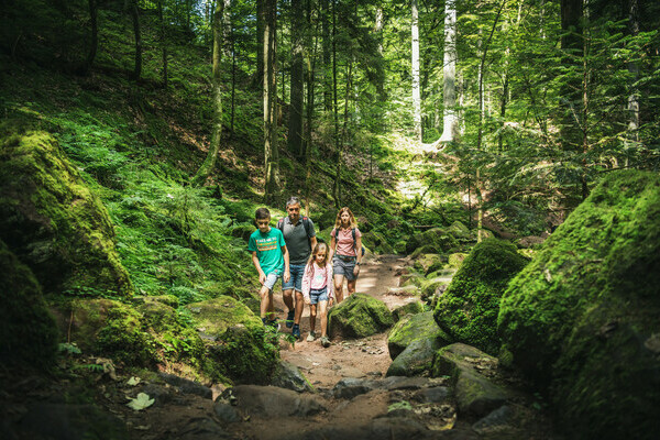 Familienwanderung Monbachtal Bildnachweis: ©Locher Fotodesign & Manufaktur