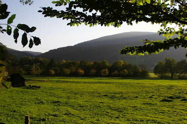 4ws-netdesign 4ws-netdesign