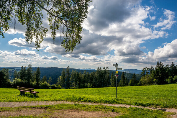 Schinkenweg Aussicht Copyright: (© Tourist-Information Höchenschwand, Fotograf Klaus Hansen)