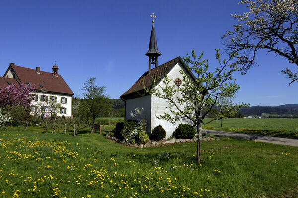 Frühling im Breitehof im Attental Copyright: (Tourist-Information Dreisamtal)