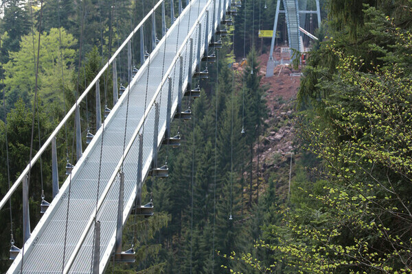 Wildline Hängeseilbrücke Bildnachweis: Hotel Rothfuss Bad Wildbad