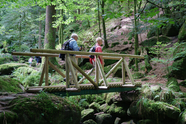 Gertelbach Wasserf�lle Copyright: (Mit freundlicher Genehmigung der Tourist-Info B�hl-B�hlertal)