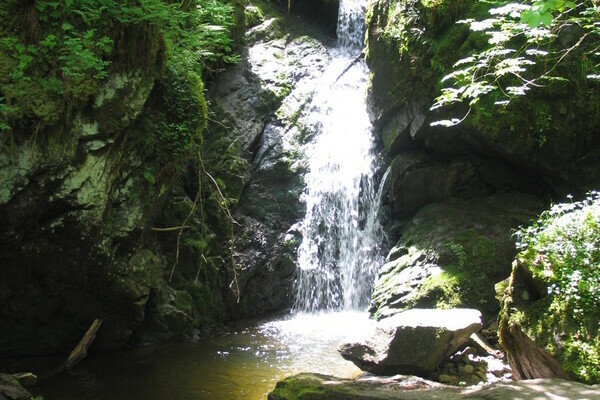 Lotenbachklamm Copyright: (Touristinfo Bonndorf) Lotenbachklamm Copyright: (Touristinfo Bonndorf)