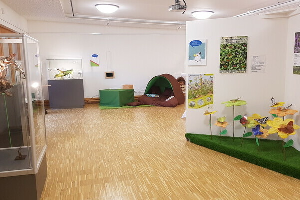 Sonderausstellung: Insekten Bildnachweis: © Natur-Infozentrum Kaltenbronn